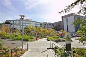 &quot;Drug and Alcohol Programs in Santa Clara County
